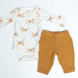 Onesie and pants, fox theme, size 3m